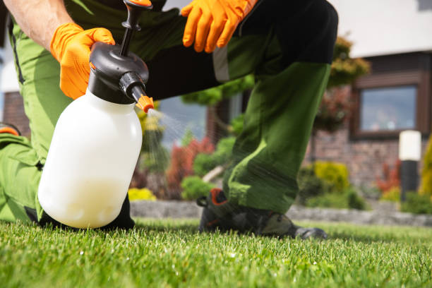 Trusted Carrboro, NC Pest Control Experts