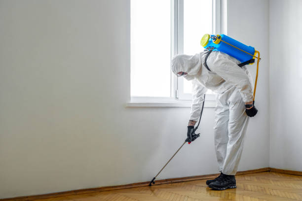 Best Mosquito Control Services  in Carrboro, NC