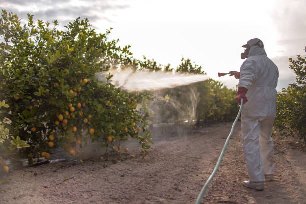 Best Ant Control Services  in Carrboro, NC