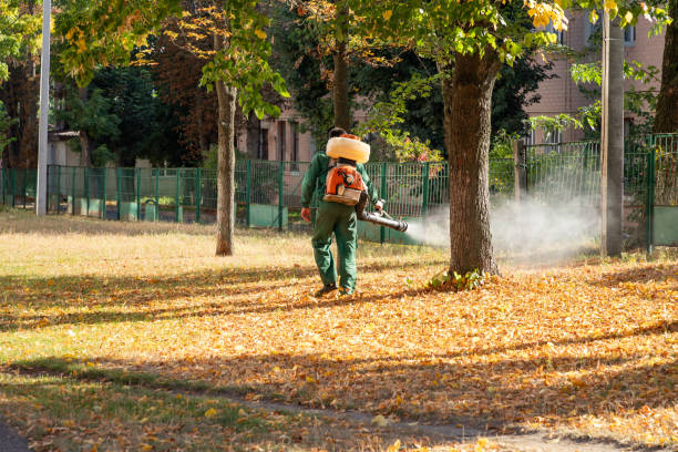 Best Rat Extermination Near Me  in Carrboro, NC
