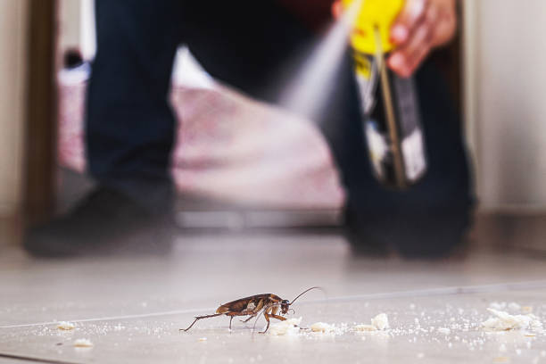 Best Best Pest Control Companies  in Carrboro, NC